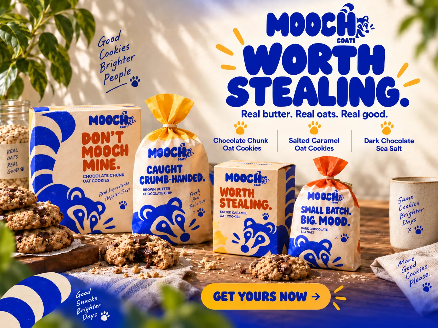 Mooch Coati flyer mockup